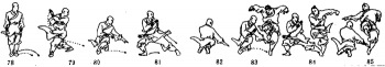 少林十三趟金刚把图片_78-85