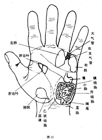 气功与手诊4.jpg