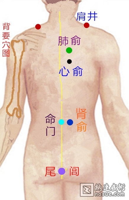 11121957_50_副本_副本_副本_副本_副本 (2)_副本_副本_副本.jpg