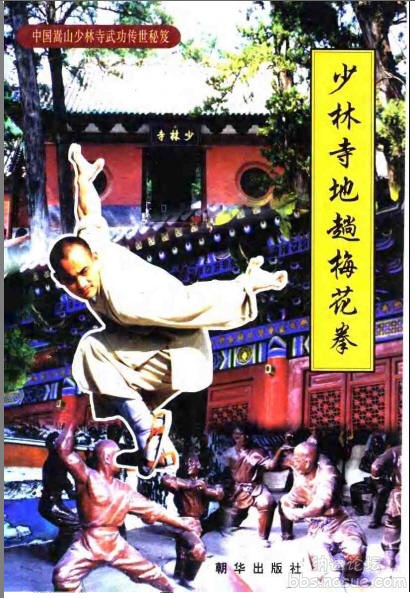 少林寺地趟梅花拳-封面.jpg